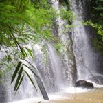 Bokor-National-Park