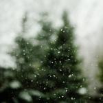 a2d71973101b7f8f1f42ca067ddbdb99