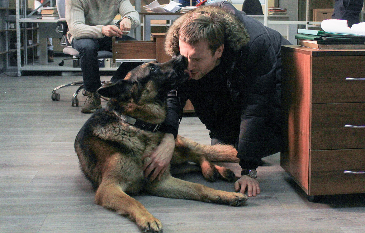 Новые приключения полицейского пса в сериале «Мухтар. Новый след»