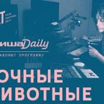 Кадровые перестановки в «Национальном рекламном альянсе»