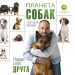 Джуд Лоу сыграет Дамблдора в новых «Фантастических тварях»