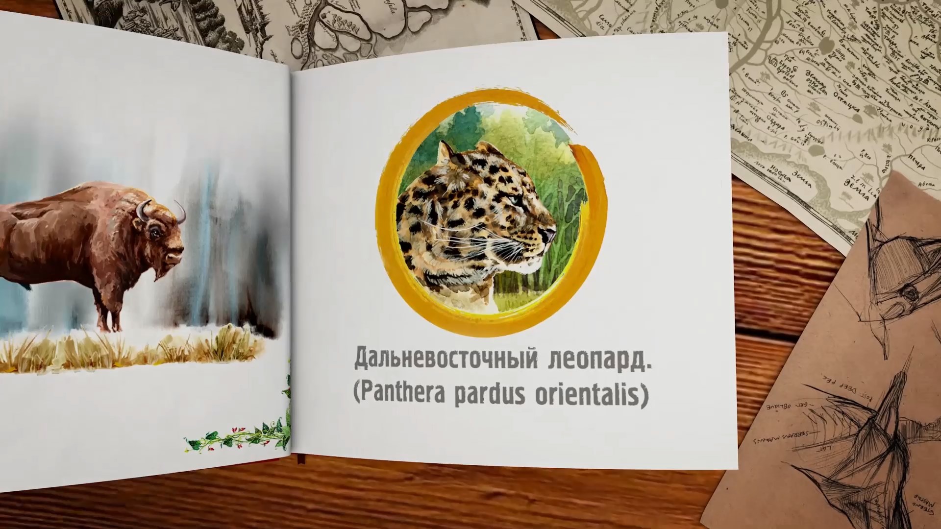 Телеканал «Продвижение» посвятил Году экологии в России специальную серию роликов «Исчезающая планета»
