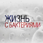 Bakt_zaglushka_1920_1200