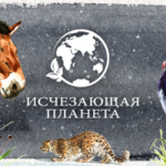 Год экологии