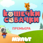 DogCat_05.03