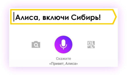 Алиса включи телеканал