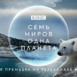 Без названия (1)