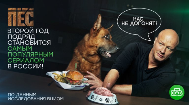ВЦИОМ_Пес - копия