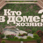 Кто-в-доме-хозяин