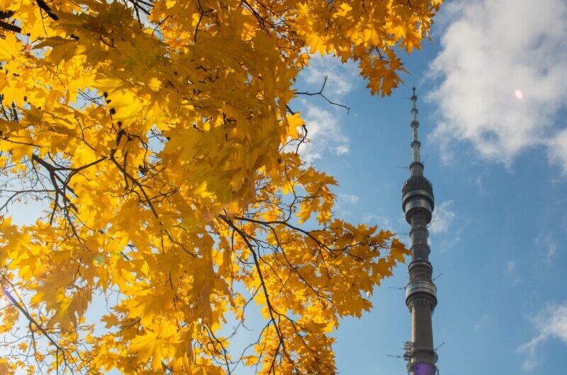 Останкинская башня отметит свой 54-й день рождения