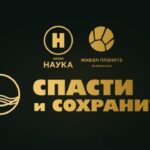 Спасти и сохранить