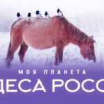 Чудеса России