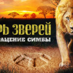 Царь зверей