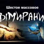 Вымирание