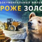 Дороже золота 1