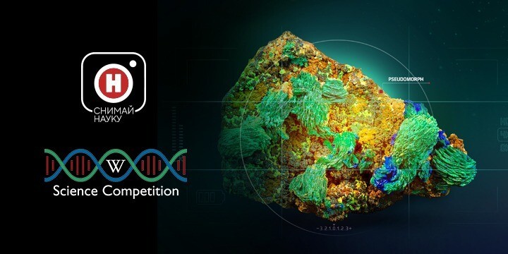 Десять фотографий конкурса «Снимай науку!» получили награды международного Wiki Science Competition