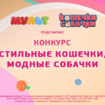 Кошечки Собачки