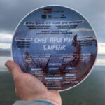 Снег пригнул бамбук (2)