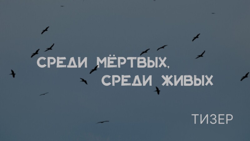 В Сети появился тизер дока Алёны Полуниной о Донбассе