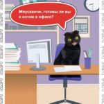 день кошек