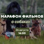 Фильмы-о-собаках