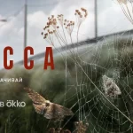 TRASSA_TEASER_LANDSCAPE